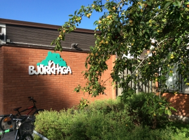 Björkhaga