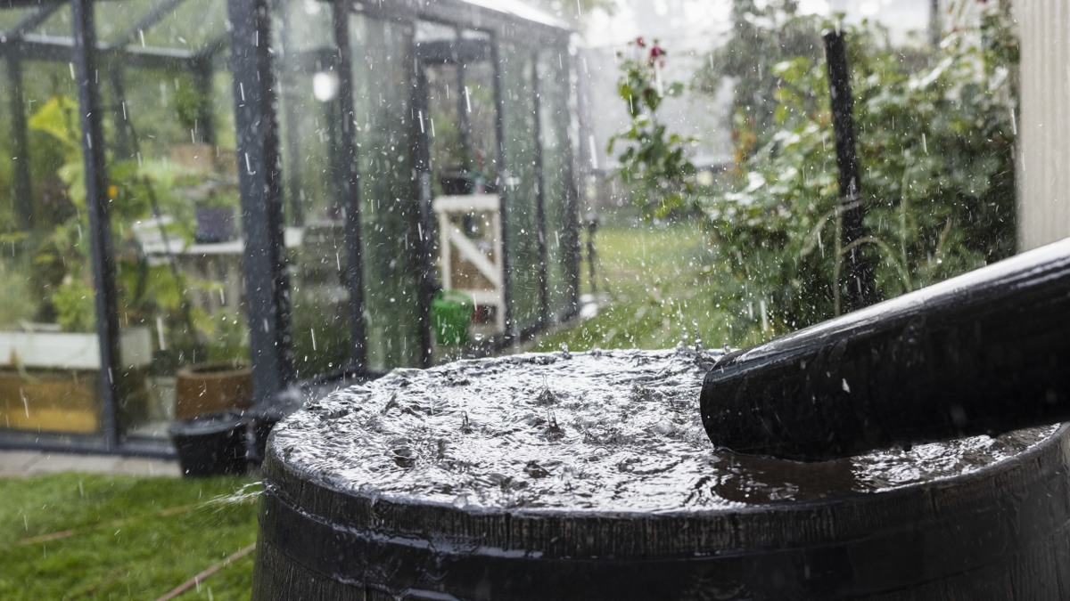 Regntunnor och häftigt regn.