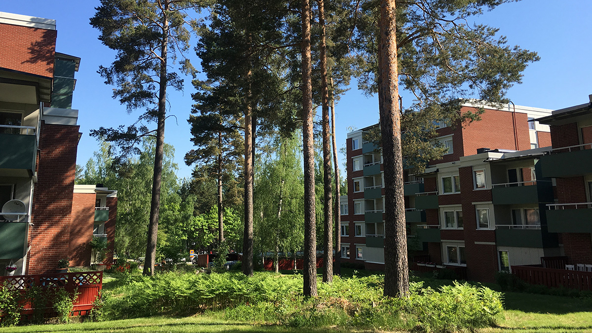 Flerbostadshus i rött tegel med gröna balkongskydd, omgivna av höga tallar och grönska en solig dag. I förgrunden syns gräs och ormbunkar, i bakgrunden lövträd och ytterligare byggnader.