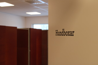 Bild på hundboxar