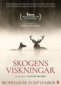 Skogens viskningar