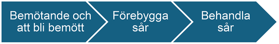 ”Bemötande och att bli bemött”; ”Förebygga sår”; ”Behandla sår”.