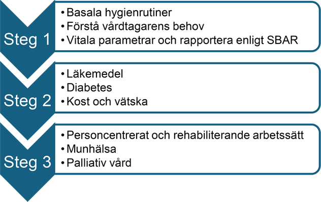 Illustration med tre nedåtriktade pilar märkta Steg 1, Steg 2 och Steg 3. Varje steg innehåller en lista med kunskapsområden.Steg 1: Basala hygienrutiner; Förstå vårdtagarens behov; Vitala parametrar och rapportera enligt SBAR.Steg 2: Läkemedel; Diabetes; Kost och vätska.Steg 3: Personcentrerat och rehabiliterande arbetssätt; Munhälsa; Palliativ vård.