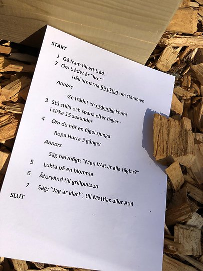 Instruktioner till en övning i programmering.