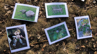 Bilder på så kallad Landart, konstverk skapade av material i naturen.
